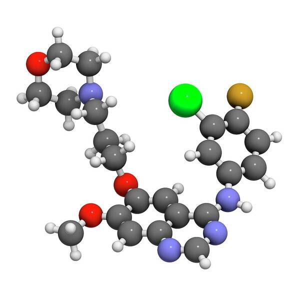 Gefitinib Poster featuring the photograph Gefinitib Cancer Drug Molecule #4 by Molekuul