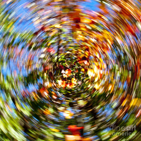 Autumn Poster featuring the photograph Fall abstract #5 by Steven Ralser