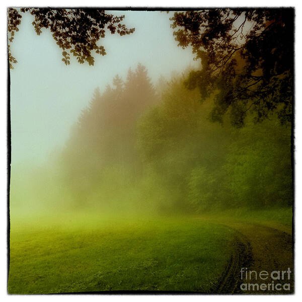 Romantic Poster featuring the photograph Romantic forest landscape #5 by Gina Koch