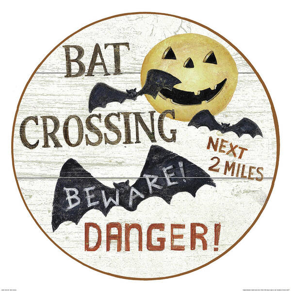 Bird Poster featuring the painting 5243 34a 1 Bat Crossing by David Carter Brown