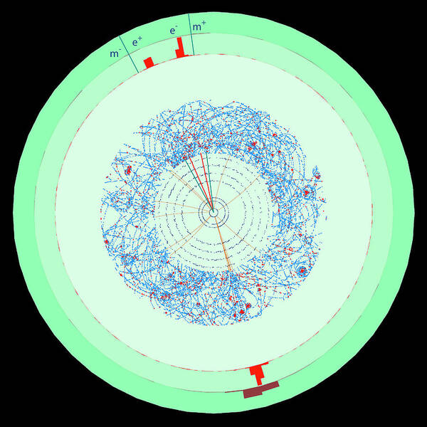 Lhc Poster featuring the photograph Particle Collision #6 by Cern/science Photo Library