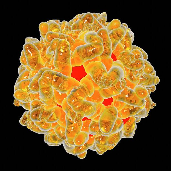 Artwork Poster featuring the photograph Yellow Fever Virus #7 by Mehau Kulyk
