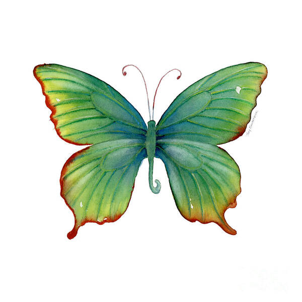 Butterfly Poster featuring the painting 74 Green Flame Tip Butterfly by Amy Kirkpatrick