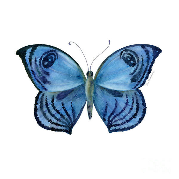 India Poster featuring the painting 75 Capanea Butterfly by Amy Kirkpatrick