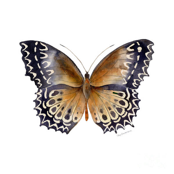 Cethosia Poster featuring the painting 77 Cethosia Butterfly by Amy Kirkpatrick