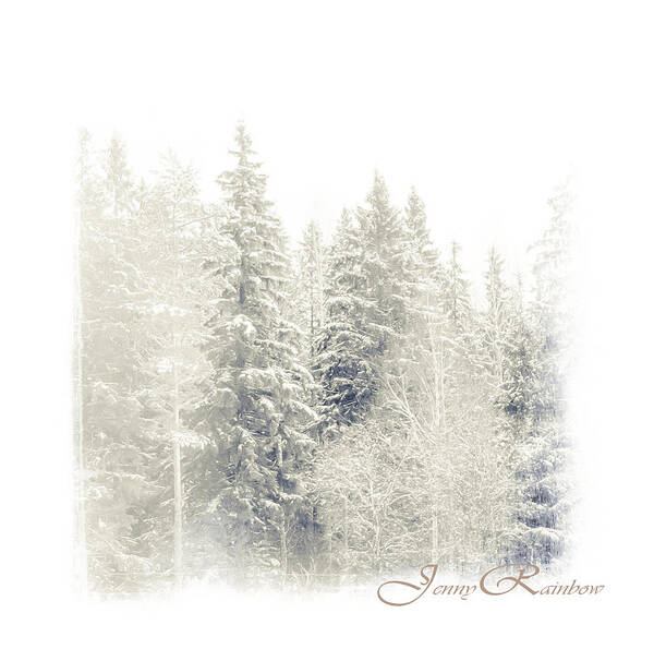 Winter Poster featuring the photograph Winter Wonderland. Elegant KnickKnacks from JennyRainbow #1 by Jenny Rainbow