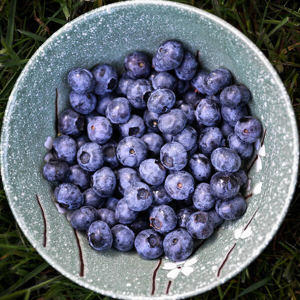 Berries Poster featuring the photograph A Bowl of Blue by Ronda Broatch