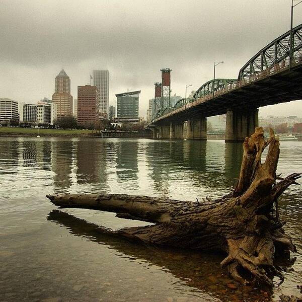  Poster featuring the photograph A Gray, Foggy, Cloudy Downtown Portland by Mike Warner