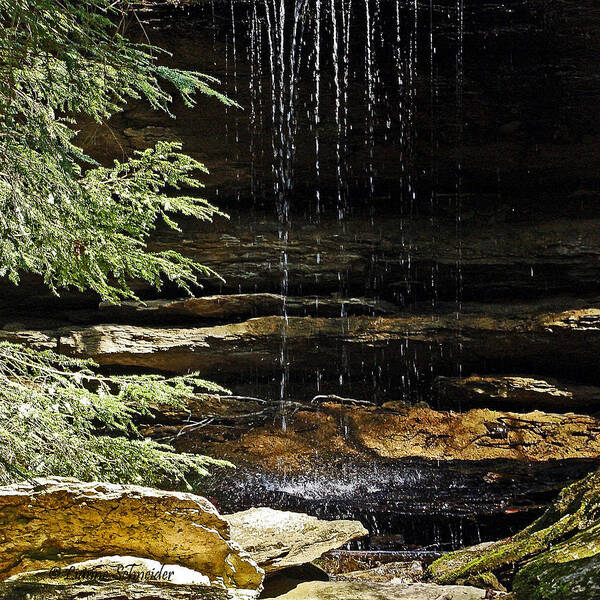 Waterfalls Poster featuring the photograph A Place To Reflect by Lianne Schneider