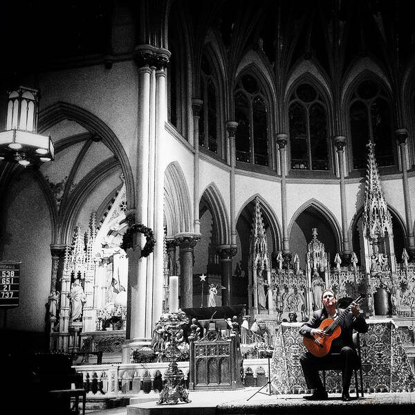 Musician Poster featuring the photograph Acoustic Grace by Natasha Marco