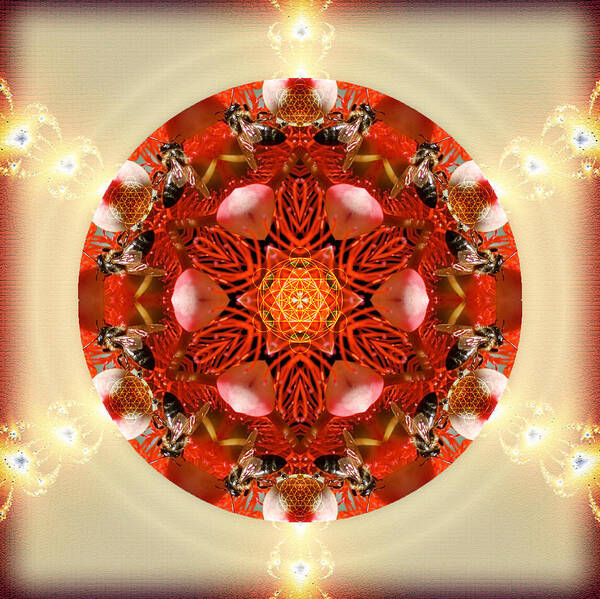 Mandala Poster featuring the photograph Ambrosia by Alicia Kent