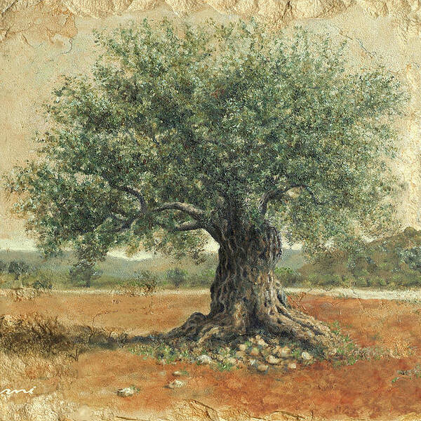 Ancient Olive Tree Poster featuring the painting An ancient olive tree in the Galilee by Miki Karni