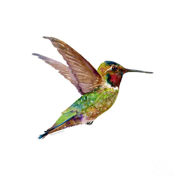 Bird Poster featuring the painting Anna Hummingbird by Amy Kirkpatrick