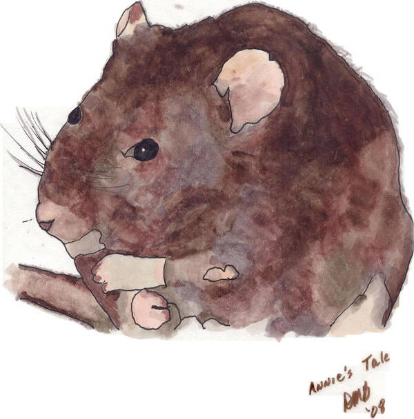 Rat Poster featuring the painting Annie's Taill by Dawn Boswell Burke