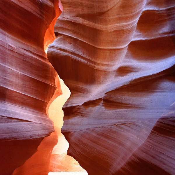 Antelope Canyon Poster featuring the photograph Antelope Canyon 1 by Julie Niemela