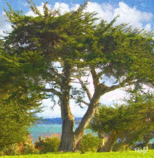 Fine Art Monterey Poster featuring the digital art Arbor Bay by Jim Pavelle