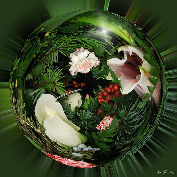 Orb Poster featuring the photograph Around the Garden by Pete Trenholm