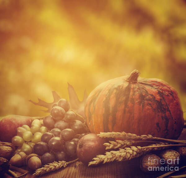Thanksgiving Poster featuring the photograph Autumn Fruit Still life by Jelena Jovanovic