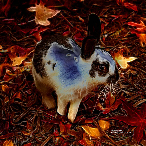 Rabbit Poster featuring the digital art Autumn Rabbit 5010 - James Ahn by James Ahn