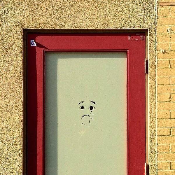 Ic_doors Poster featuring the photograph Sad Door by Julie Gebhardt