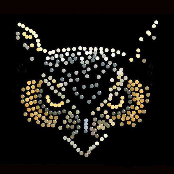 Owl Poster featuring the digital art Bedazzled Owl by R Allen Swezey