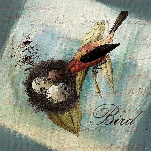 Bird Poster featuring the digital art Bird Nest - sp11a by Variance Collections