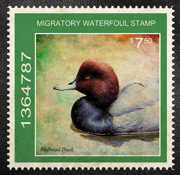 Drakes Poster featuring the photograph Bird Stamp by Steve McKinzie