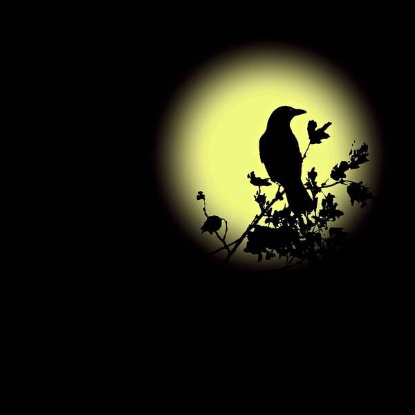 Blackbird Poster featuring the photograph Blackbird in Silhouette II by David Dehner