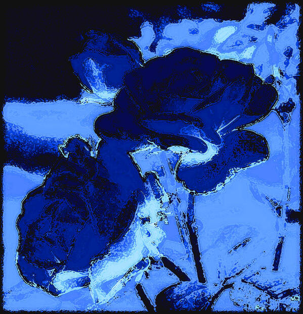 Flower Poster featuring the photograph Blue Roses by Kathy Sampson