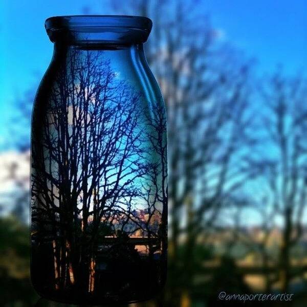 Blue Poster featuring the photograph Blue Skies Bottled Winter in Oregon by Anna Porter