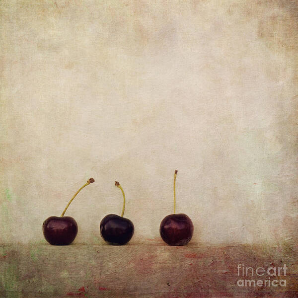 Minimalist Still Life Image With Three Cherries On A Board. Poster featuring the photograph Cherries by Priska Wettstein