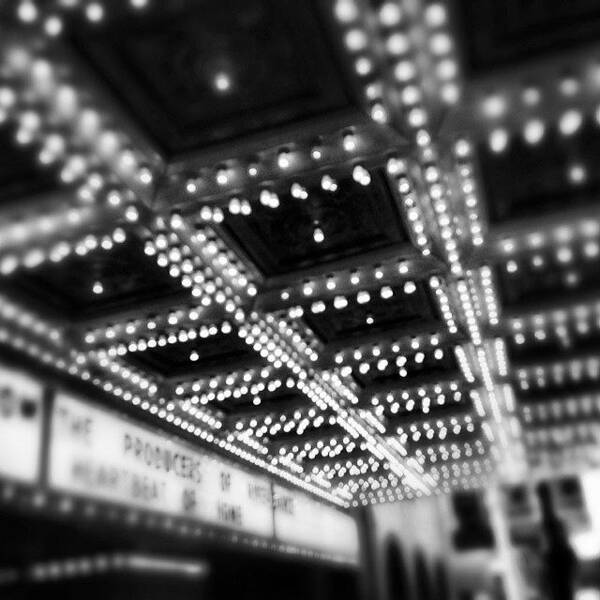 America Poster featuring the photograph Chicago Oriental Theatre Lights by Paul Velgos