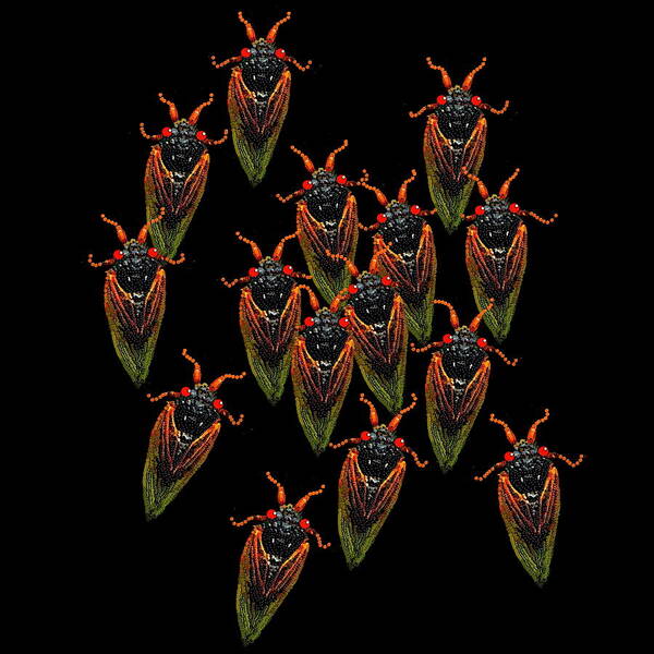 Cicadas Poster featuring the digital art Cicadas by R Allen Swezey