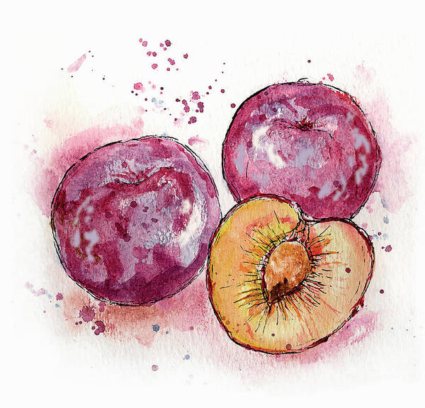 Art Poster featuring the painting Close Up Of Three Plums by Ikon Ikon Images