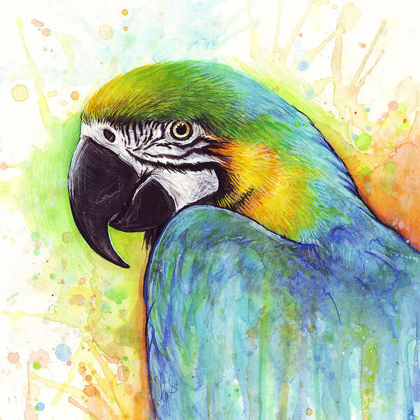 Watercolor Painting Poster featuring the painting Macaw Watercolor by Olga Shvartsur