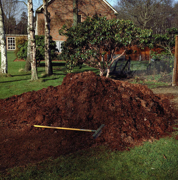 Compost Heap 67 Poster featuring the photograph Compost Heap by Science Photo Library