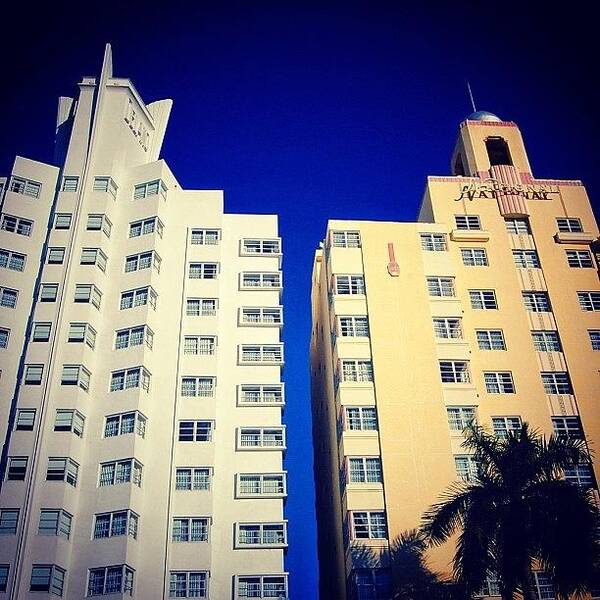 Iphoneonly Poster featuring the photograph Delano And National Hotel's - Miami ( by Joel Lopez