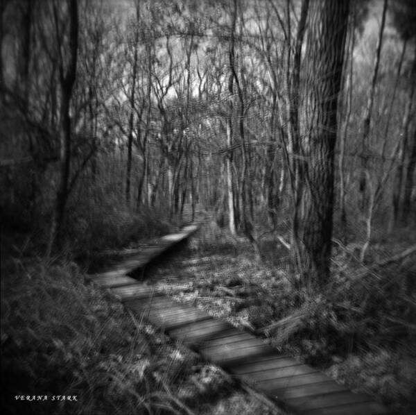 Thorn Creek Poster featuring the photograph Distant Path by Verana Stark