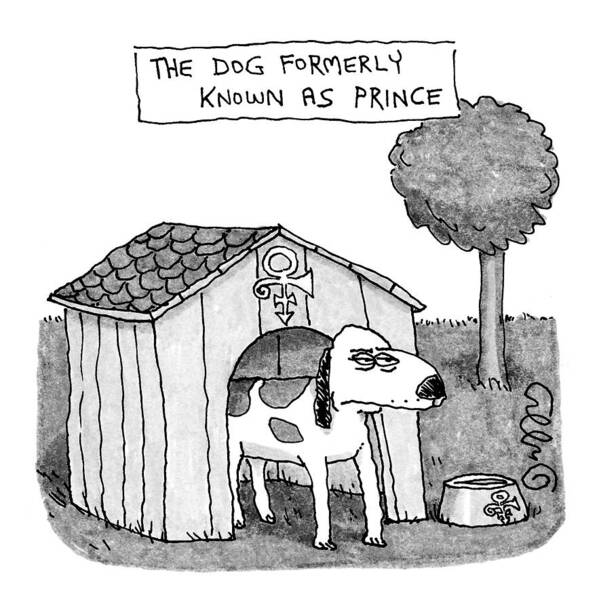 Dogs Poster featuring the drawing Dog Formerly Known As Prince by J.C. Duffy