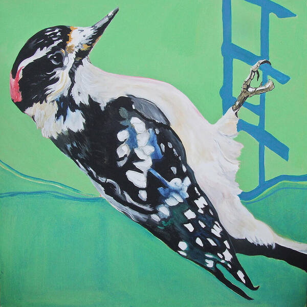 Woodpecker Poster featuring the painting Downey Woodpecker by Jamie Downs