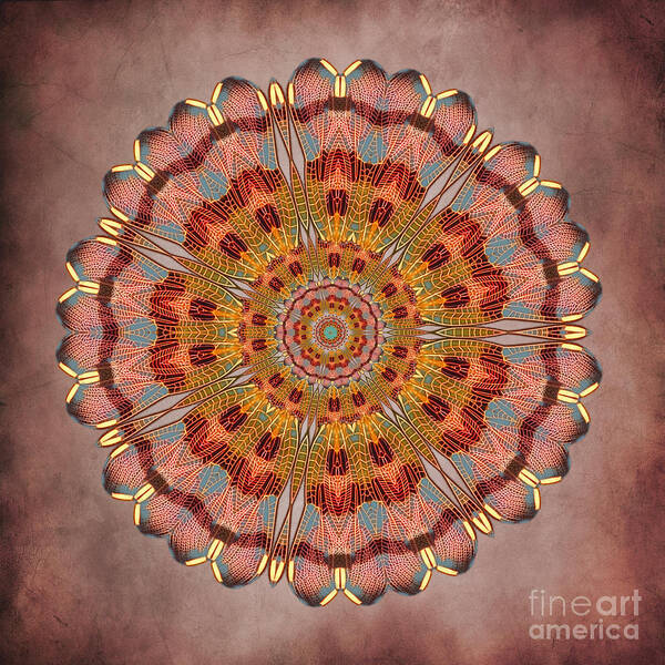 Abstract Poster featuring the digital art Dragonfly Mandala by Deborah Smith