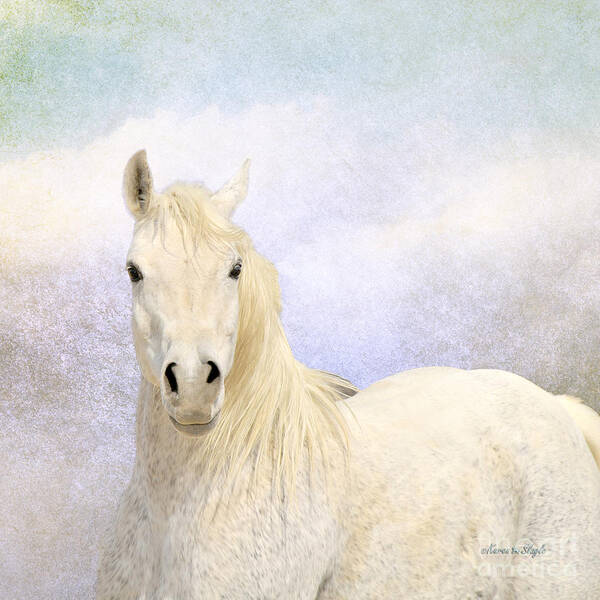 Horse Poster featuring the photograph Dream Horse by Karen Slagle
