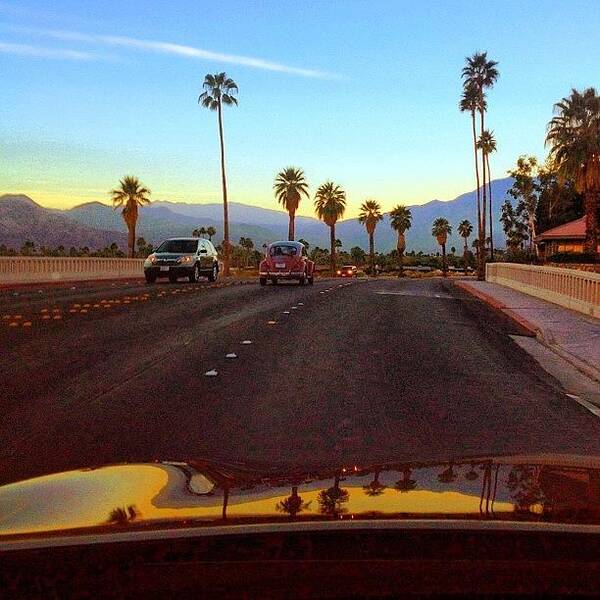 Igerscalifornia Poster featuring the photograph Driving Into Palm Springs by Trey Rucker