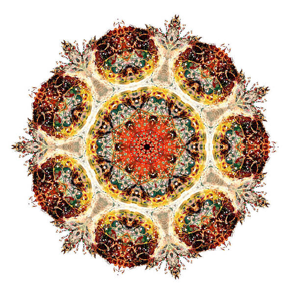 Mandala Poster featuring the photograph Earthmind by Lisa Lipsett