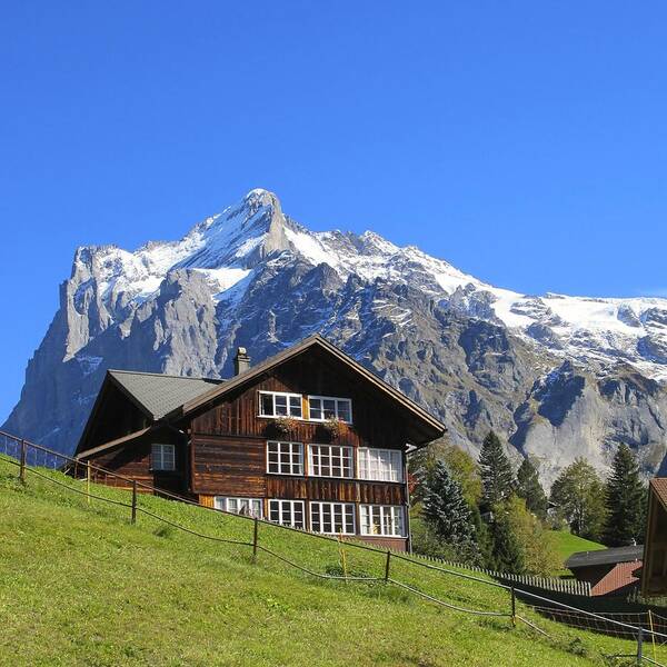 Swiss Home Poster featuring the photograph Eiger view by Sue Morris