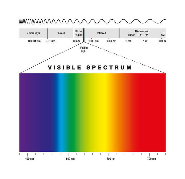 Spectrum And Light Poster by Peter Hermes Furian -