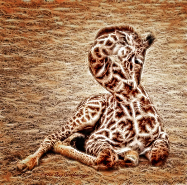 Zoo Poster featuring the photograph Elegant Infant by Lucy VanSwearingen