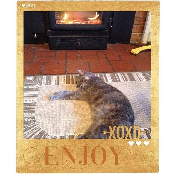 Enjoy Poster featuring the photograph #enjoy The #warmth My Little #princess by Teresa Mucha