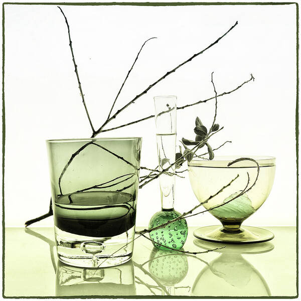Still Life Poster featuring the photograph Etude in green by Andrei SKY
