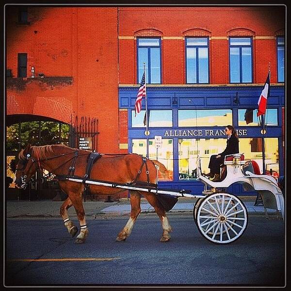 Northloop Poster featuring the photograph Fiacre (hansom Cab). #minneapolis by Hermes Fine Art